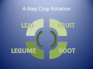Simple Crop Rotation Chart